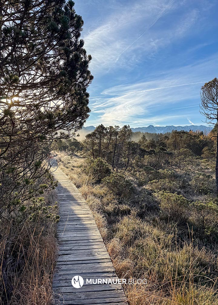 Bohlensteg im Murnauer Moos bei Sonnenaufgang und leichten Bodennebel