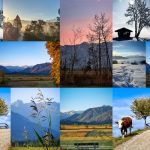 Kacheln mit Postkarten aus 2024