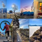 Sieben Postkarten aus 2025 Collage