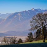 Blick ins Murnauer Moos