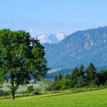 Spaziergaenge in Murnau und Umgebung