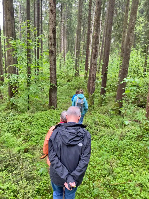 4 Personen beim Waldbaden